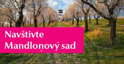 Navštivte mandloňový sad