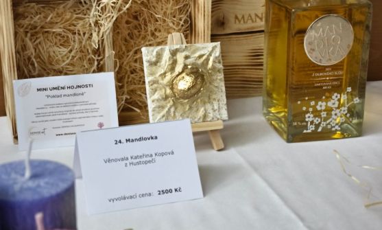 Dobročinné aukce s Mandlovkou